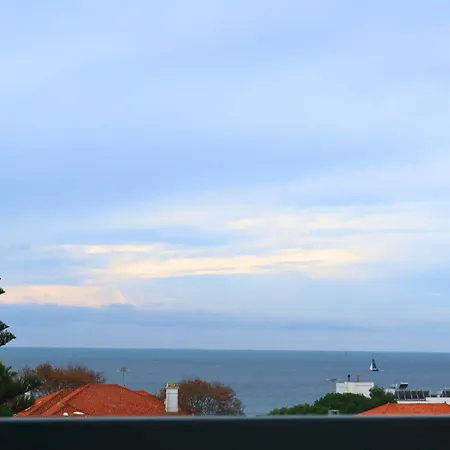 Art 4 كاركافيلو